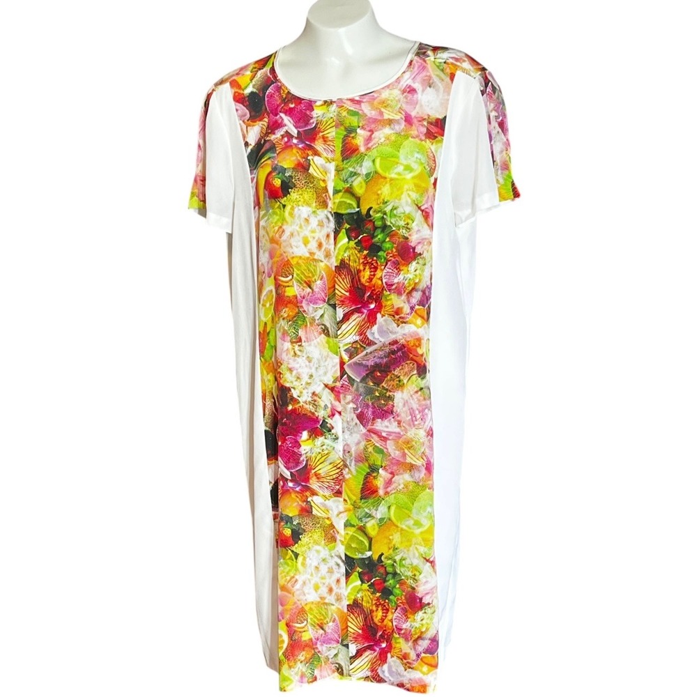 Club Monaco Silk Fruit Floral Print Short Sleeve Shift Dress‎ Style 00202009